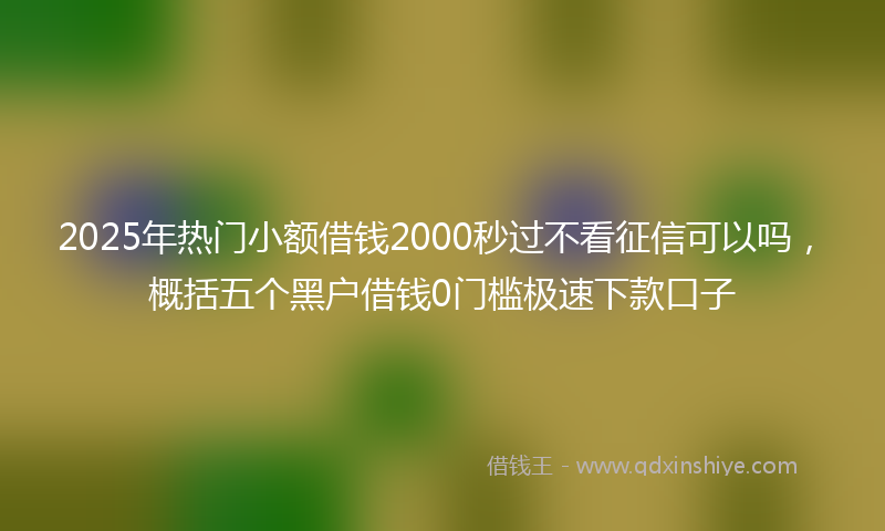2025年热门小额借钱2000秒过不看征信可以吗，概括五个黑户借钱0门槛极速下款口子
