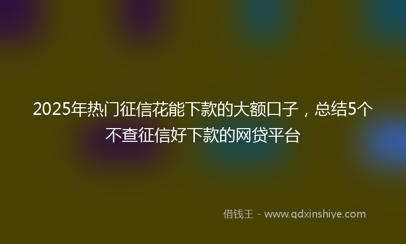 2025年热门征信花能下款的大额口子，总结5个不查征信好下款的网贷平台