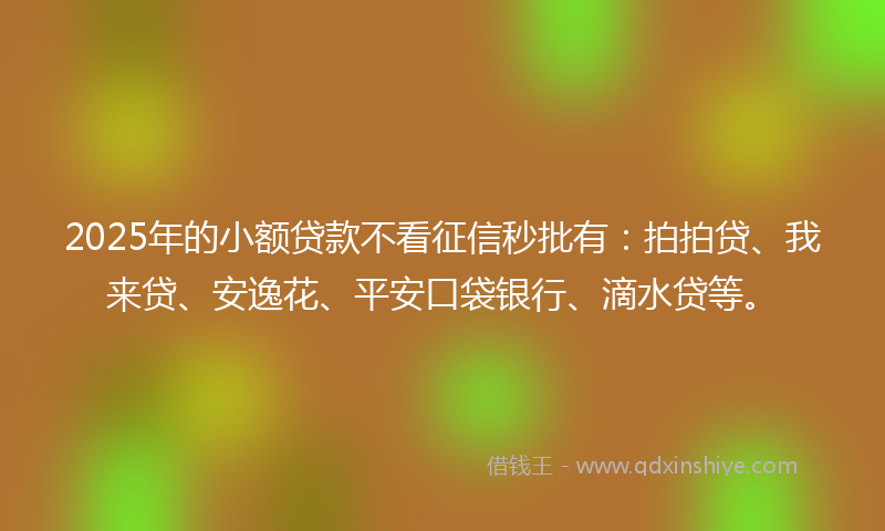 2025年的小额贷款不看征信秒批有：拍拍贷、我来贷、安逸花、平安口袋银行、滴水贷等。