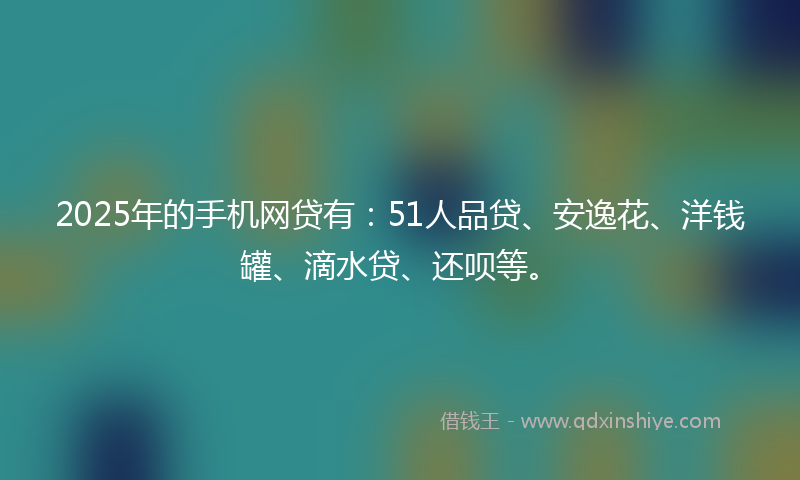 2025年的手机网贷有：51人品贷、安逸花、洋钱罐、滴水贷、还呗等。