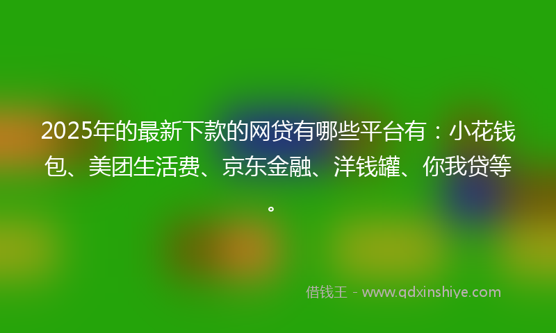 2025年的最新下款的网贷有哪些平台有：小花钱包、美团生活费、京东金融、洋钱罐、你我贷等。