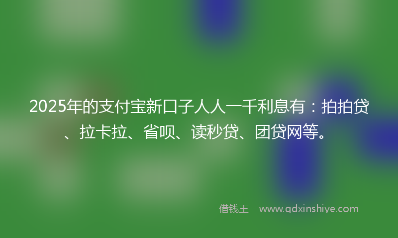 2025年的支付宝新口子人人一千利息有：拍拍贷、拉卡拉、省呗、读秒贷、团贷网等。