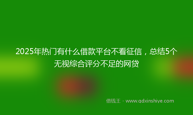 2025年热门有什么借款平台不看征信，总结5个无视综合评分不足的网贷