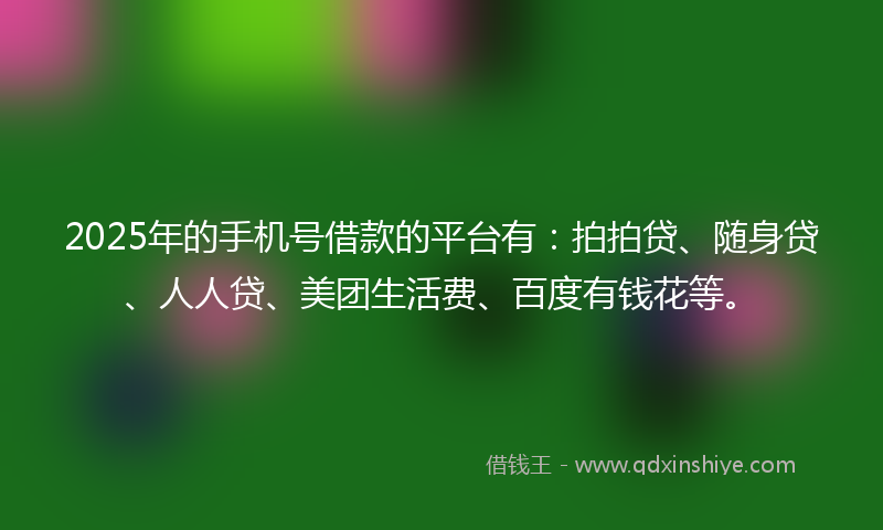 2025年的手机号借款的平台有：拍拍贷、随身贷、人人贷、美团生活费、百度有钱花等。