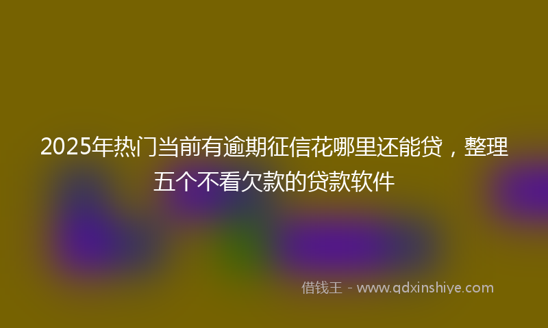 2025年热门当前有逾期征信花哪里还能贷，整理五个不看欠款的贷款软件