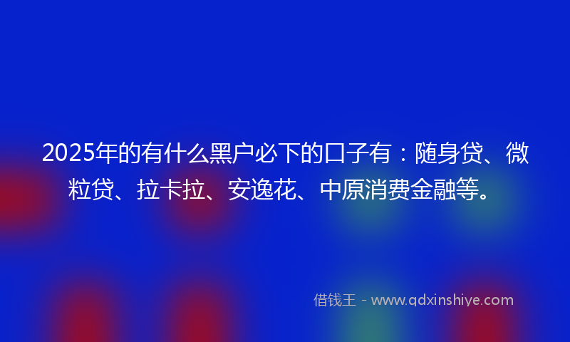 2025年的有什么黑户必下的口子有：随身贷、微粒贷、拉卡拉、安逸花、中原消费金融等。