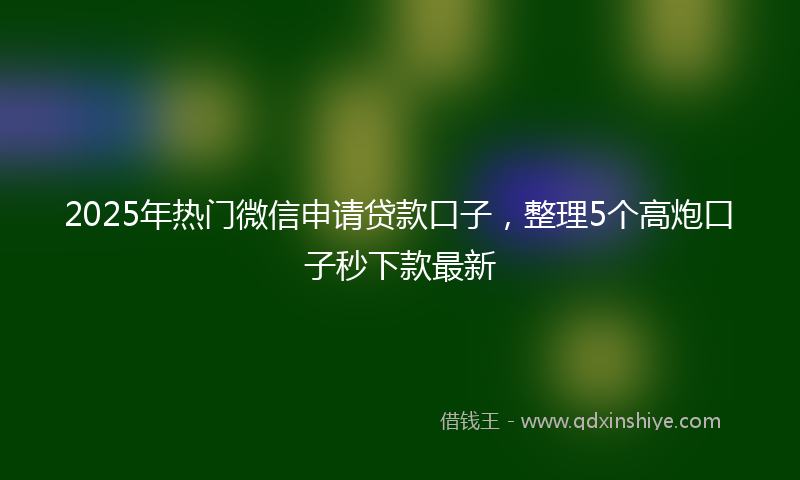 2025年热门微信申请贷款口子，整理5个高炮口子秒下款最新