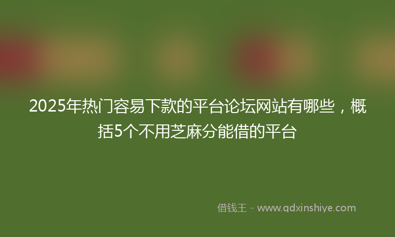 2025年热门容易下款的平台论坛网站有哪些，概括5个不用芝麻分能借的平台
