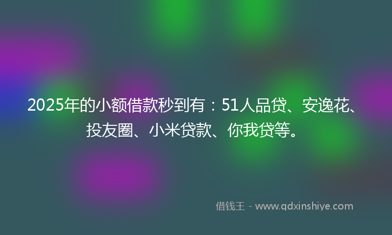 2025年的小额借款秒到有：51人品贷、安逸花、投友圈、小米贷款、你我贷等。