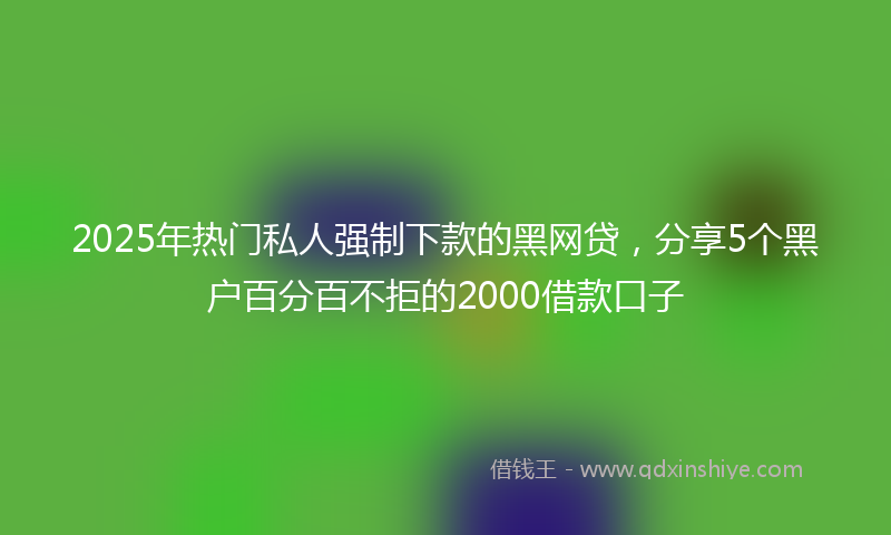 2025年热门私人强制下款的黑网贷，分享5个黑户百分百不拒的2000借款口子