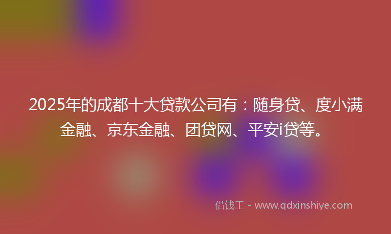 2025年的成都十大贷款公司有：随身贷、度小满金融、京东金融、团贷网、平安i贷等。