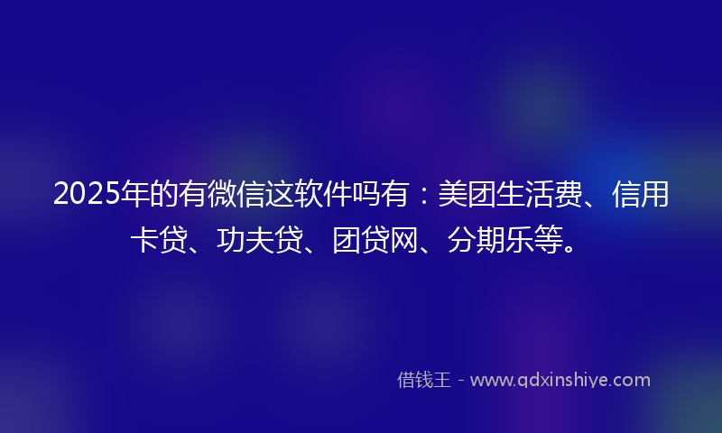 2025年的有微信这软件吗有：美团生活费、信用卡贷、功夫贷、团贷网、分期乐等。