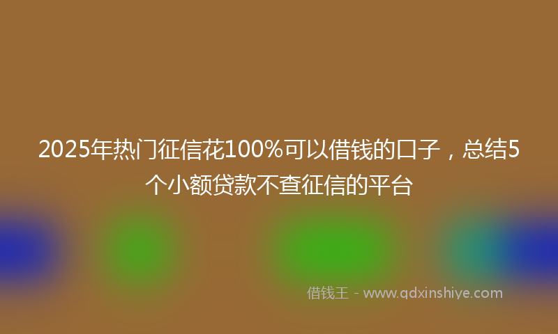2025年热门征信花100%可以借钱的口子，总结5个小额贷款不查征信的平台