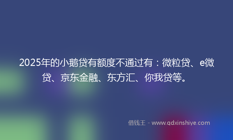 2025年的小鹅贷有额度不通过有：微粒贷、e微贷、京东金融、东方汇、你我贷等。