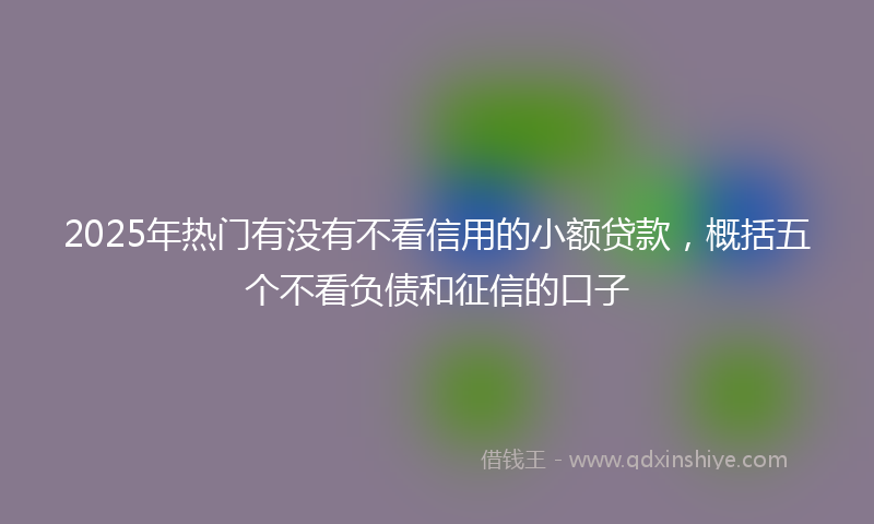 2025年热门有没有不看信用的小额贷款，概括五个不看负债和征信的口子