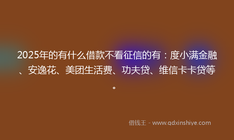 2025年的有什么借款不看征信的有：度小满金融、安逸花、美团生活费、功夫贷、维信卡卡贷等。