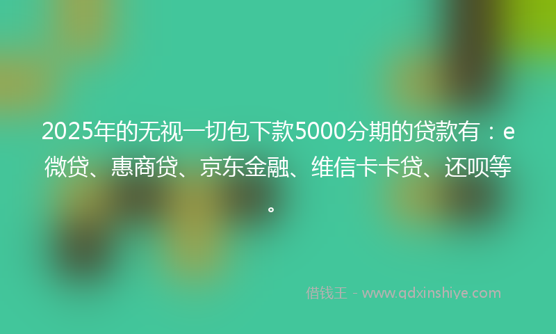 2025年的无视一切包下款5000分期的贷款有：e微贷、惠商贷、京东金融、维信卡卡贷、还呗等。