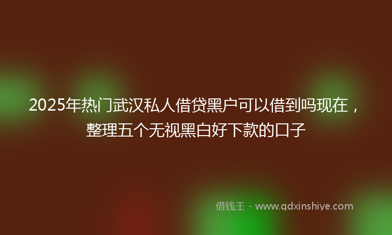 2025年热门武汉私人借贷黑户可以借到吗现在，整理五个无视黑白好下款的口子