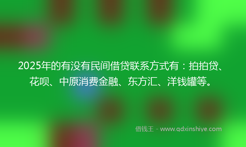 2025年的有没有民间借贷联系方式有:拍拍贷、花呗、中原消费金融、东方汇、洋钱罐等。