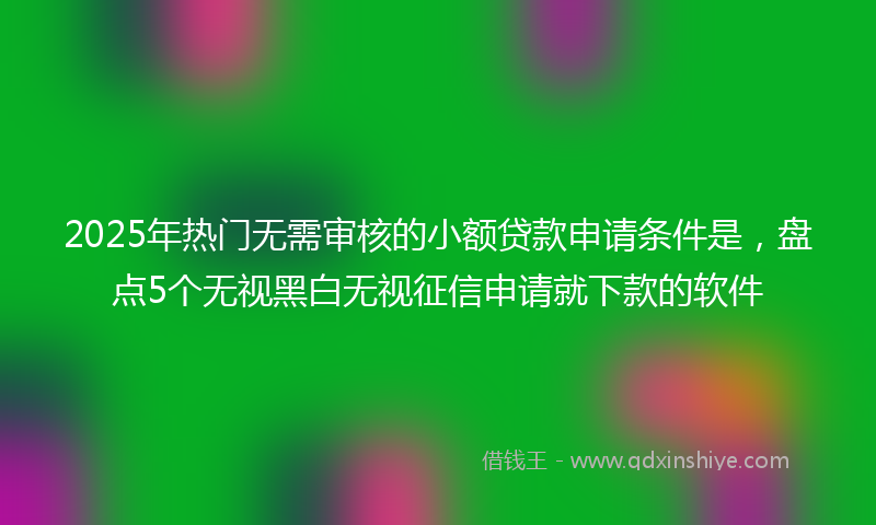 2025年热门无需审核的小额贷款申请条件是，盘点5个无视黑白无视征信申请就下款的软件