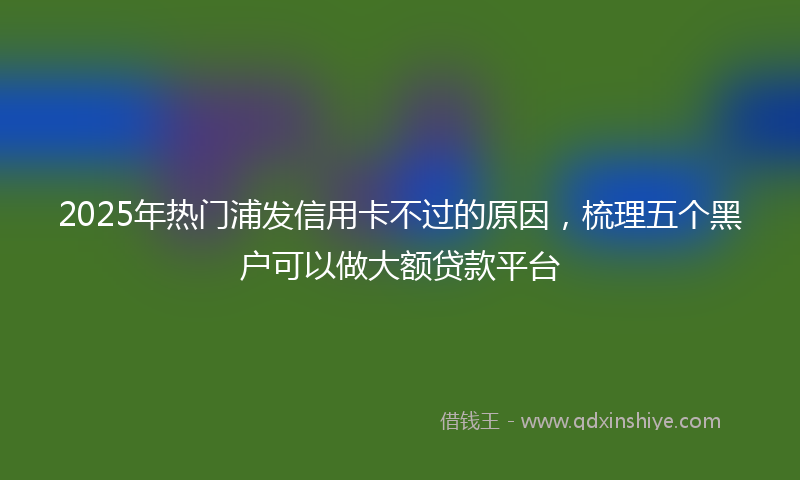 2025年热门浦发信用卡不过的原因，梳理五个黑户可以做大额贷款平台