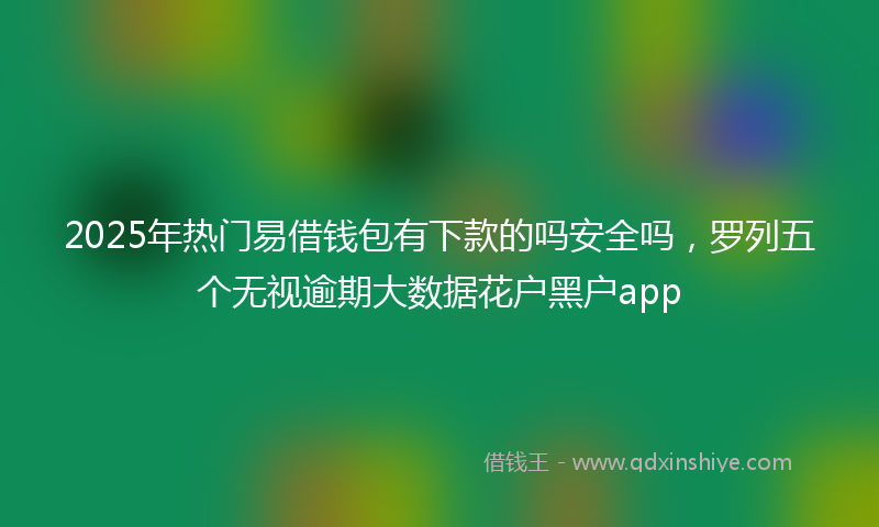 2025年热门易借钱包有下款的吗安全吗，罗列五个无视逾期大数据花户黑户app