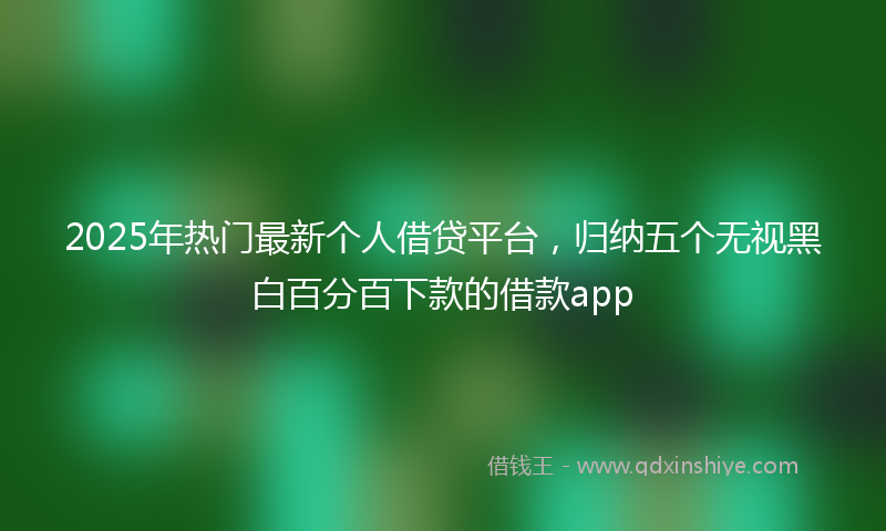 2025年热门最新个人借贷平台，归纳五个无视黑白百分百下款的借款app