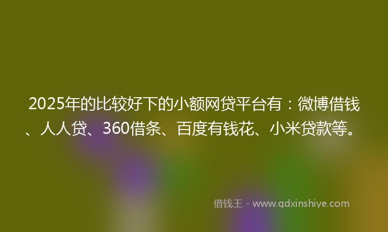 2025年的比较好下的小额网贷平台有：微博借钱、人人贷、360借条、百度有钱花、小米贷款等。