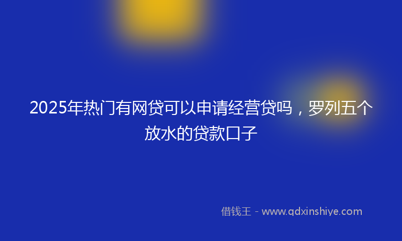 2025年热门有网贷可以申请经营贷吗，罗列五个放水的贷款口子