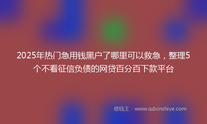 2025年热门急用钱黑户了哪里可以救急，整理5个不看征信负债的网贷百分百下款平台