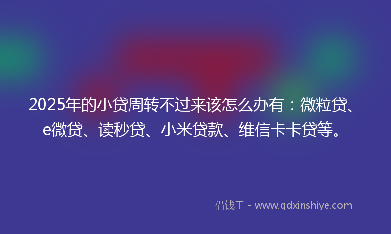 2025年的小贷周转不过来该怎么办有:微粒贷、e微贷、读秒贷、小米贷款、维信卡卡贷等。