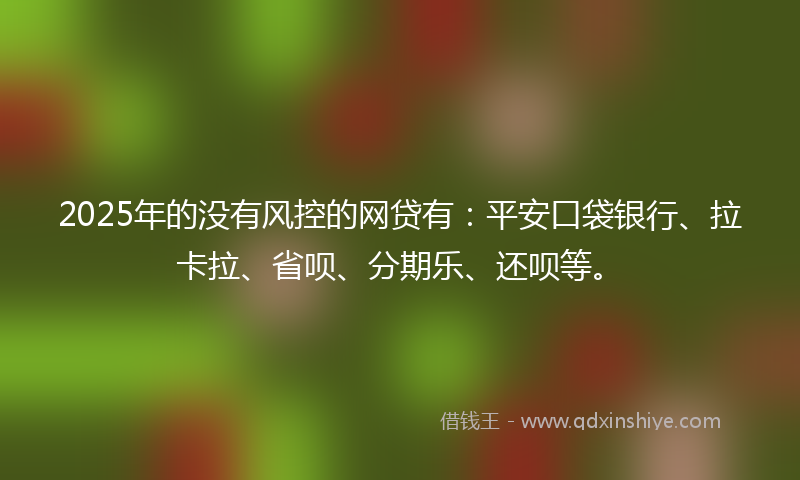 2025年的没有风控的网贷有：平安口袋银行、拉卡拉、省呗、分期乐、还呗等。