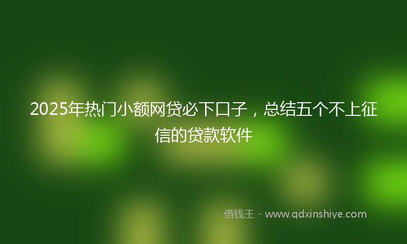 2025年热门小额网贷必下口子，总结五个不上征信的贷款软件