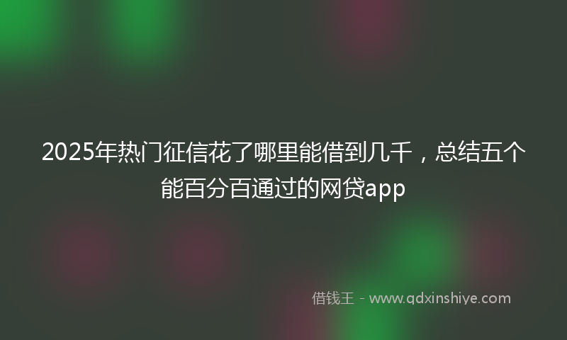 2025年热门征信花了哪里能借到几千，总结五个能百分百通过的网贷app
