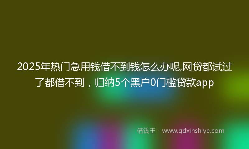 2025年热门急用钱借不到钱怎么办呢,网贷都试过了都借不到，归纳5个黑户0门槛贷款app