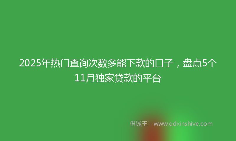2025年热门查询次数多能下款的口子，盘点5个11月独家贷款的平台