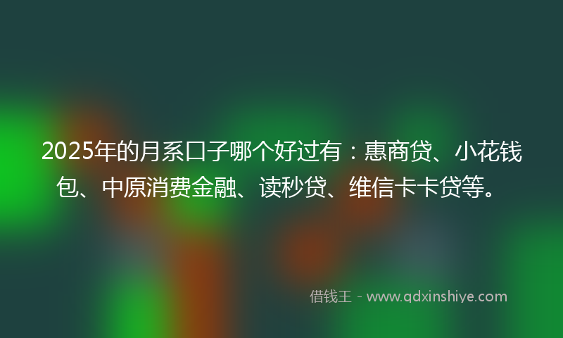 2025年的月系口子哪个好过有：惠商贷、小花钱包、中原消费金融、读秒贷、维信卡卡贷等。