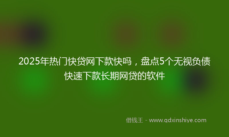 2025年热门快贷网下款快吗，盘点5个无视负债快速下款长期网贷的软件