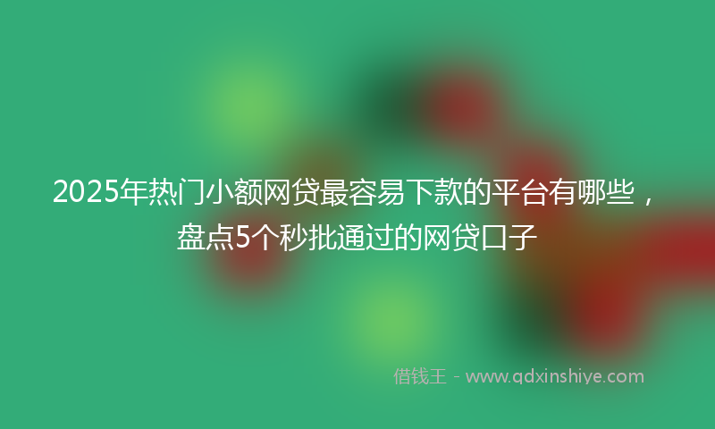 2025年热门小额网贷最容易下款的平台有哪些，盘点5个秒批通过的网贷口子