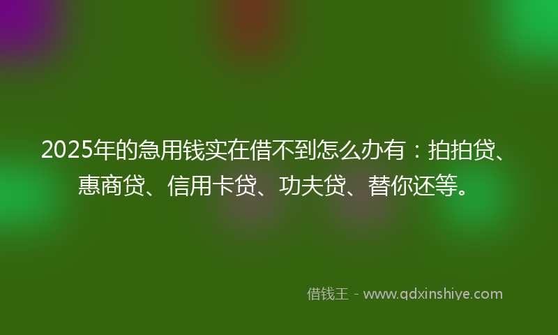 2025年的急用钱实在借不到怎么办有:拍拍贷、惠商贷、信用卡贷、功夫贷、替你还等。