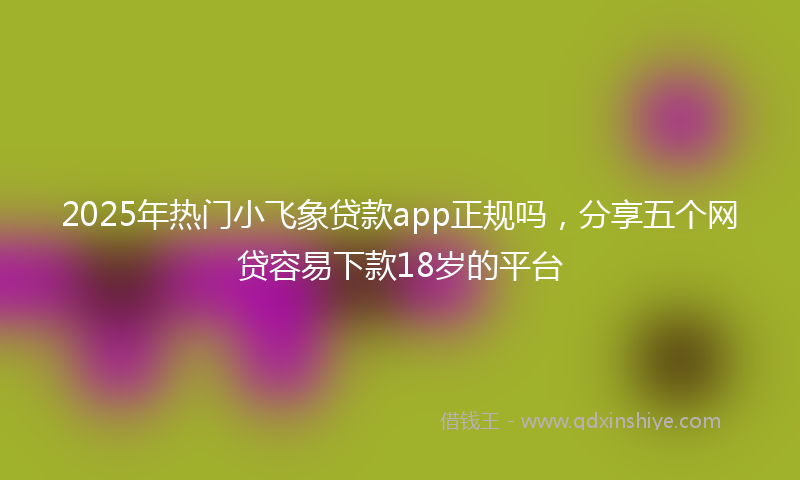 2025年热门小飞象贷款app正规吗，分享五个网贷容易下款18岁的平台
