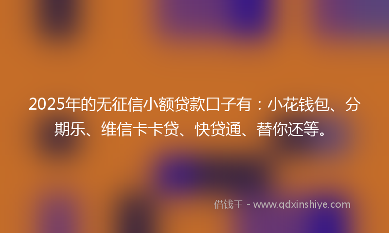 2025年的无征信小额贷款口子有：小花钱包、分期乐、维信卡卡贷、快贷通、替你还等。