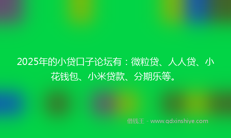 2025年的小贷口子论坛有：微粒贷、人人贷、小花钱包、小米贷款、分期乐等。