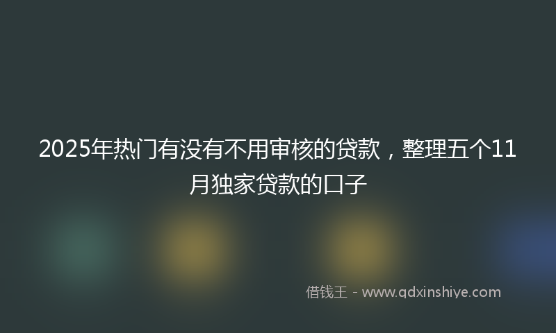 2025年热门有没有不用审核的贷款，整理五个11月独家贷款的口子