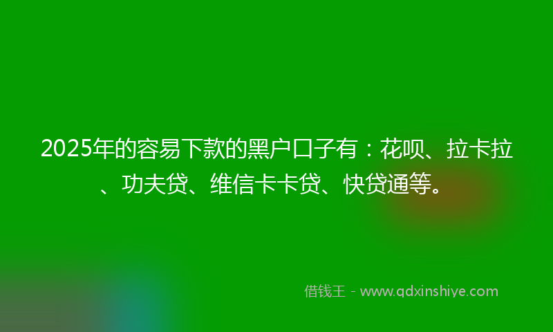 2025年的容易下款的黑户口子有：花呗、拉卡拉、功夫贷、维信卡卡贷、快贷通等。
