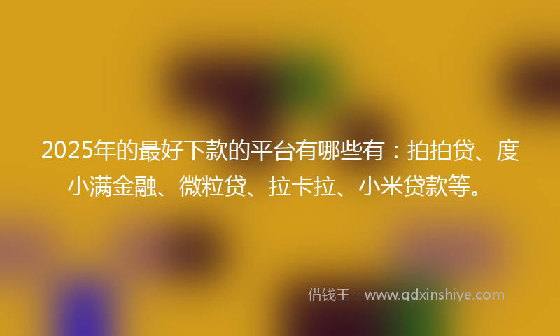 2025年的最好下款的平台有哪些有：拍拍贷、度小满金融、微粒贷、拉卡拉、小米贷款等。