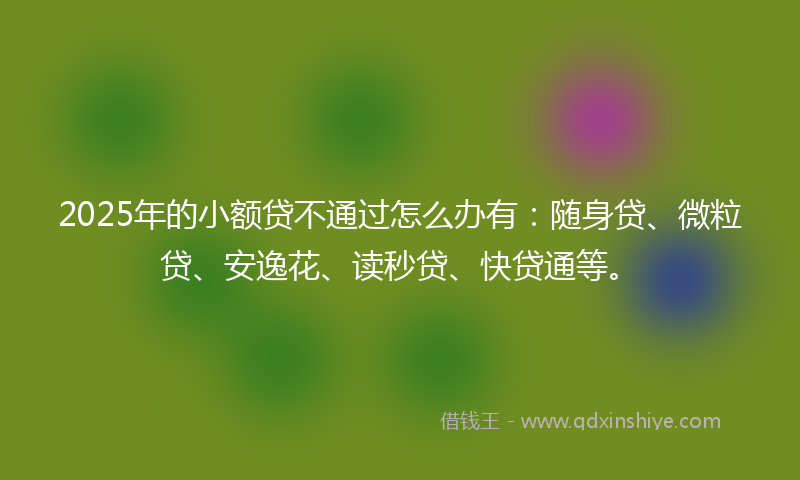 2025年的小额贷不通过怎么办有：随身贷、微粒贷、安逸花、读秒贷、快贷通等。