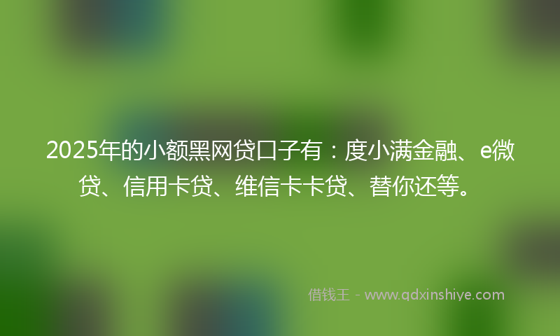 2025年的小额黑网贷口子有：度小满金融、e微贷、信用卡贷、维信卡卡贷、替你还等。