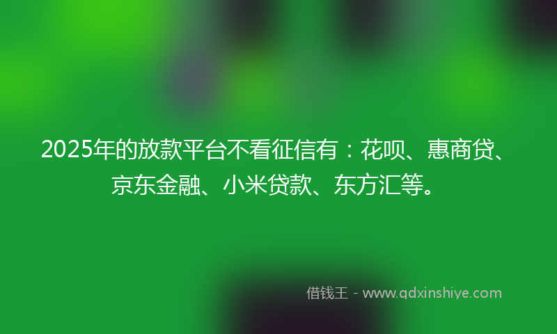 2025年的放款平台不看征信有：花呗、惠商贷、京东金融、小米贷款、东方汇等。