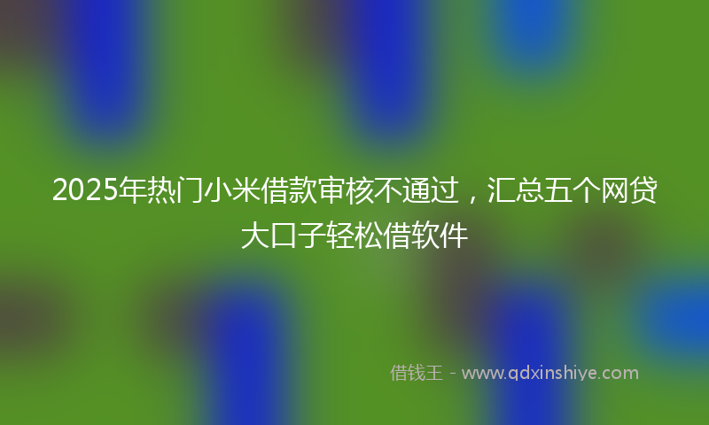 2025年热门小米借款审核不通过，汇总五个网贷大口子轻松借软件